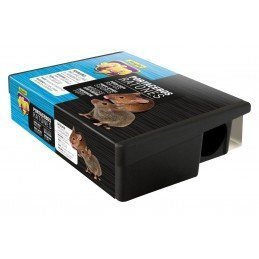 PORTACEBO RATON FLOWER CAJA