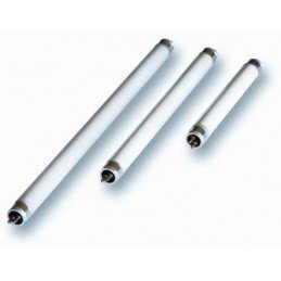 TUBO ILUMIN FLUORESC CLAR...