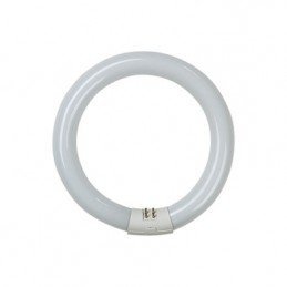 TUBO ILUMIN FLUORESC...